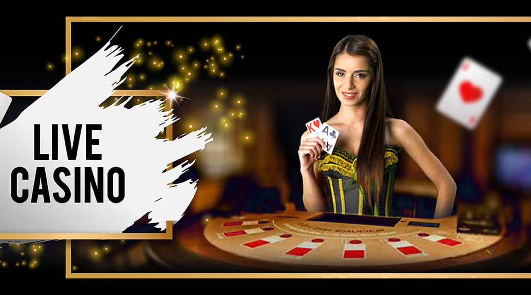 DG娛樂城代理、DG百家樂賭場代理